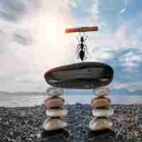 免﻿费﻿DNS优​化‌软﻿件﻿